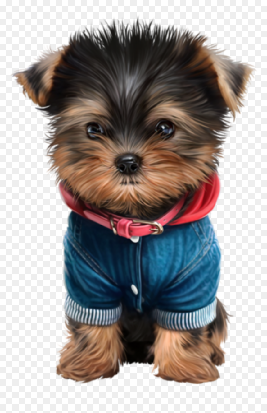 Cute Puppies Png, Transparent Png - cachorro png