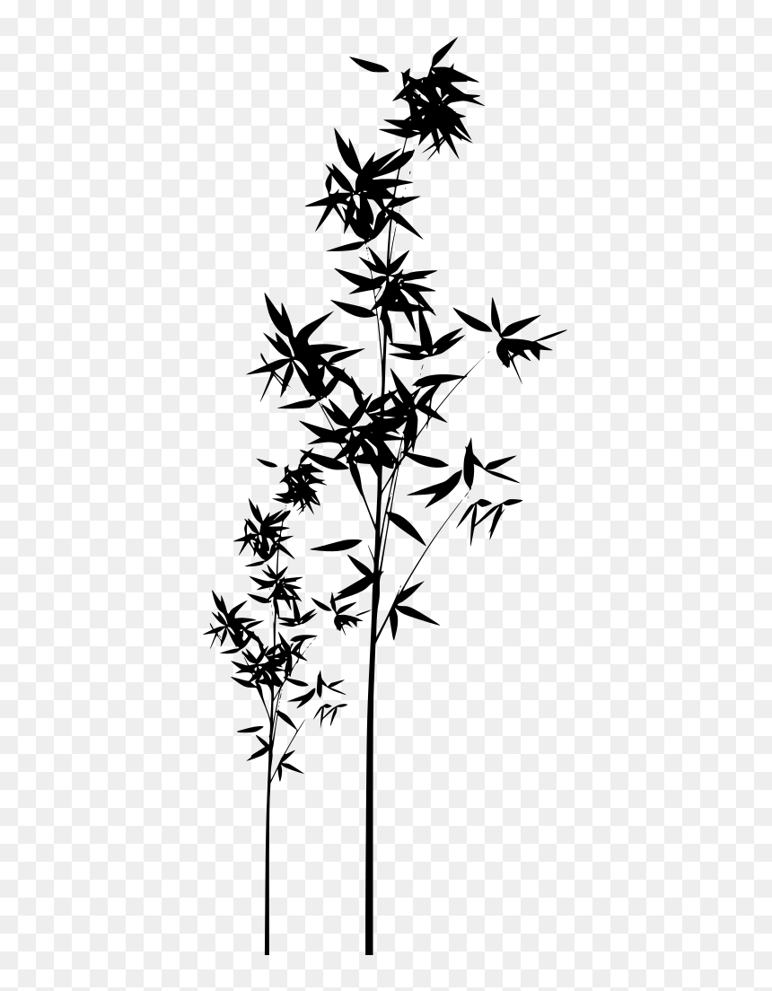Bamboo, HD Png Download - arbustos png