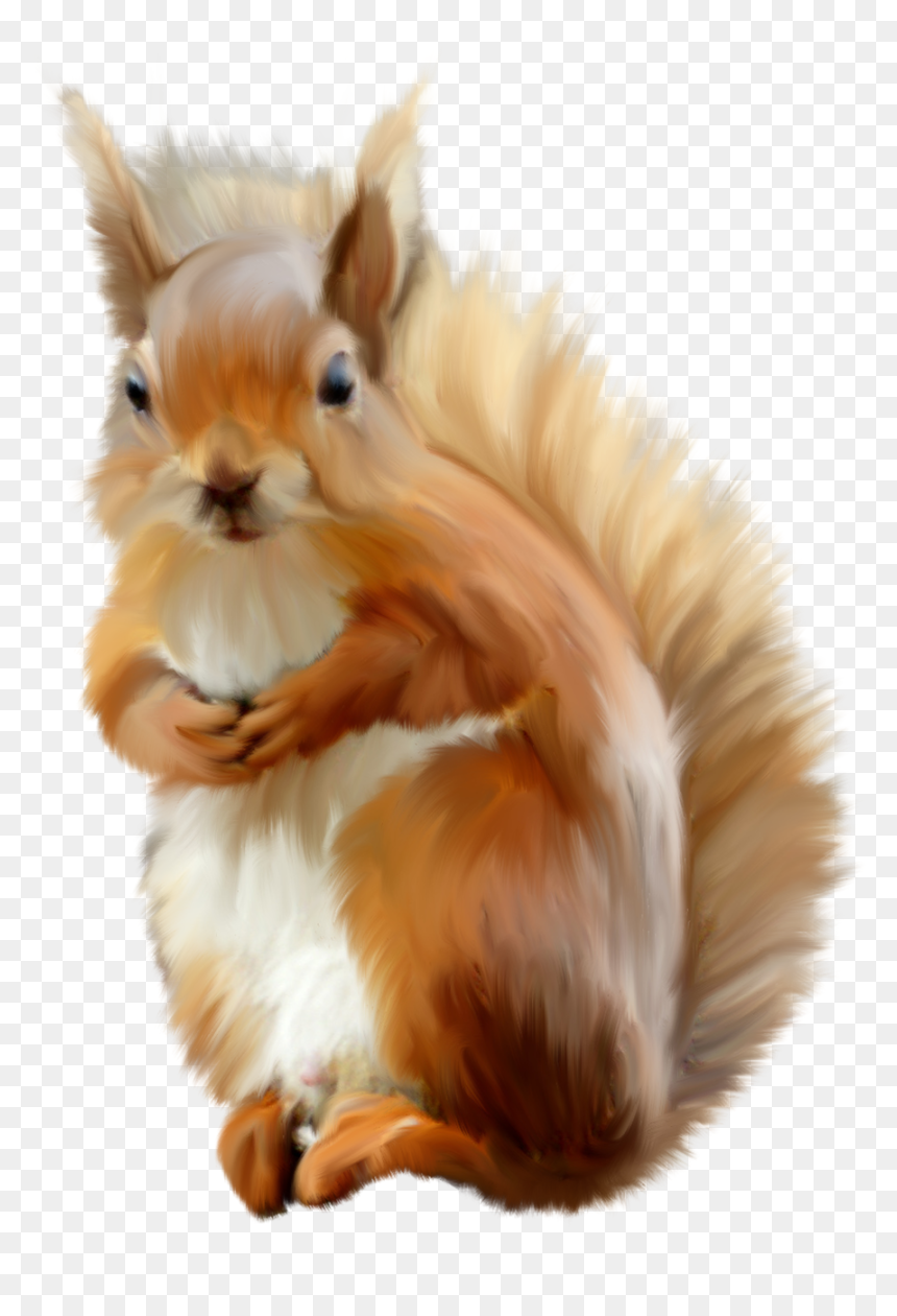 Animales Infantiles Png - Red Squirrel Transparent Background, Png Download - animales png