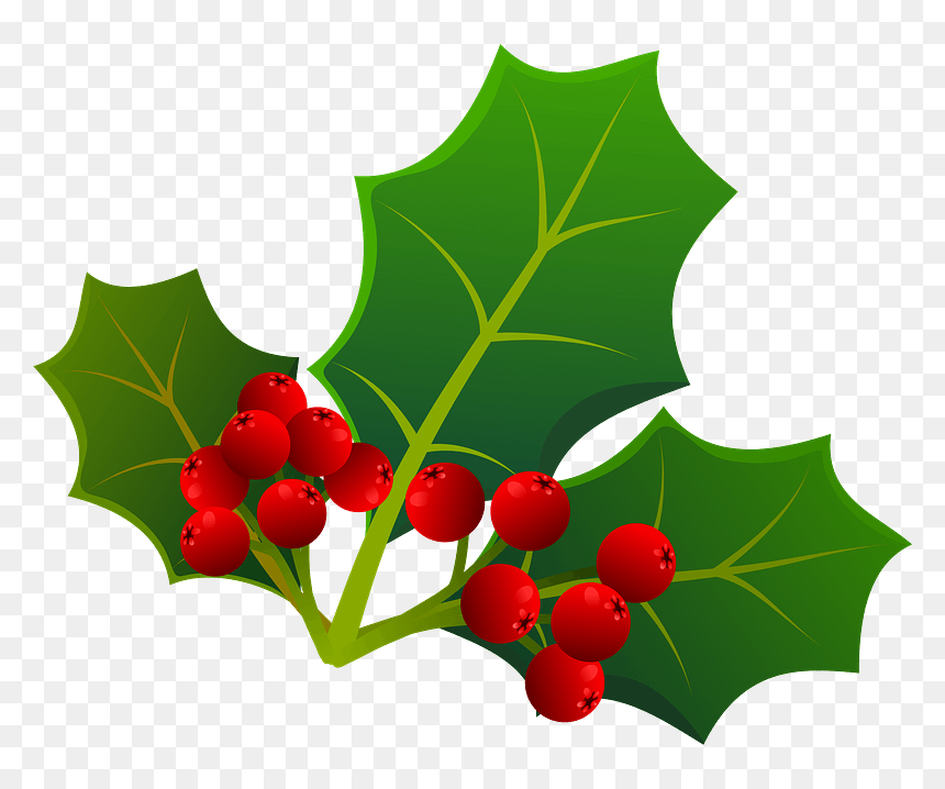 Holly Leaf Clipart - American Holly, HD Png Download - holly leaf png