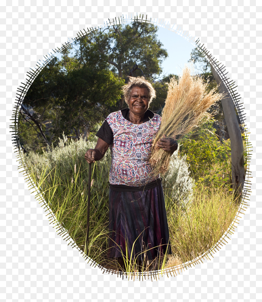 Grass, HD Png Download - desert bush png