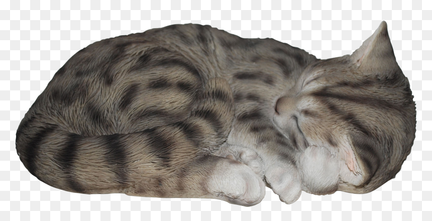 Sleeping Cat Tabby Real Life Resin Ornament By Vivid - Sleeping Cat Transparent Background, HD Png Download - sleeping cat png