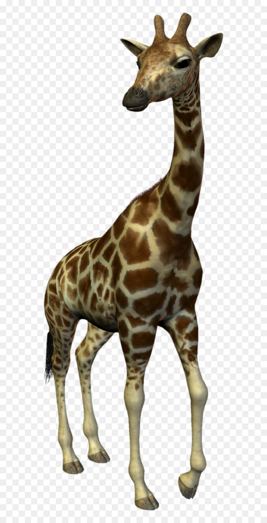 Scrapbooking Ideas - Imagenes De Animales Reales Png, Transparent Png - animales png