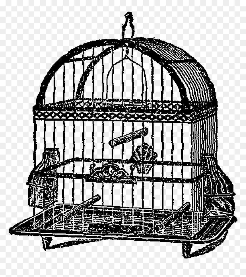 Digital Birdcage Downloads - Clip Art, HD Png Download - birdcage png
