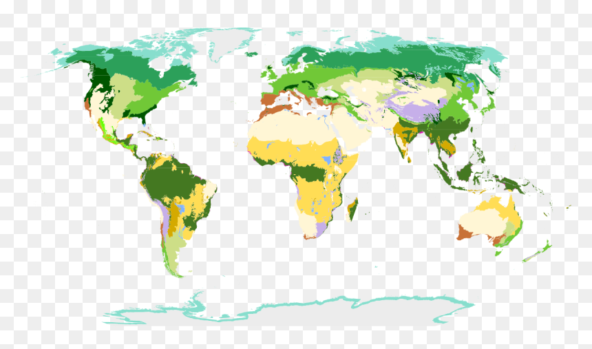Biomes Of The World - Tropical Evergreen Forests Found, HD Png Download - arbustos png