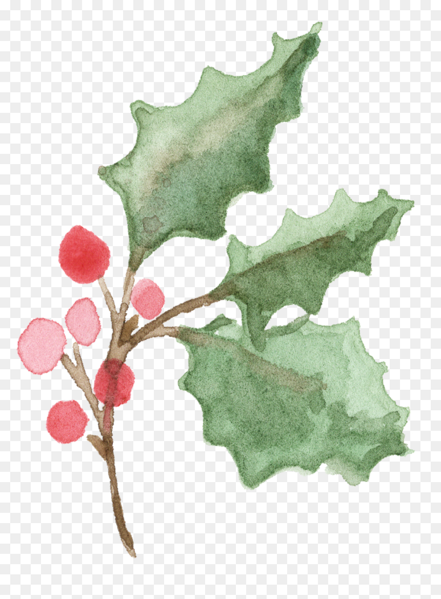 25 Holly Branch - Christmas Day, HD Png Download - holly leaf png