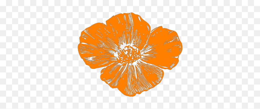 Peach Poppies Png Icons - Poppies Png, Transparent Png - poppies png