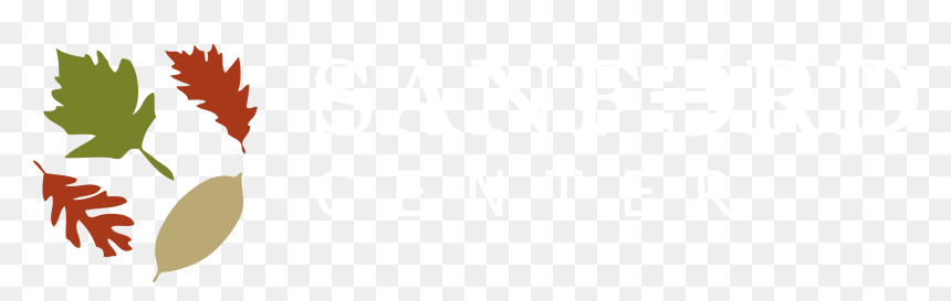 Sanford Center Cmyk Inverse Logo - Sanford Health, HD Png Download - concert crowd png