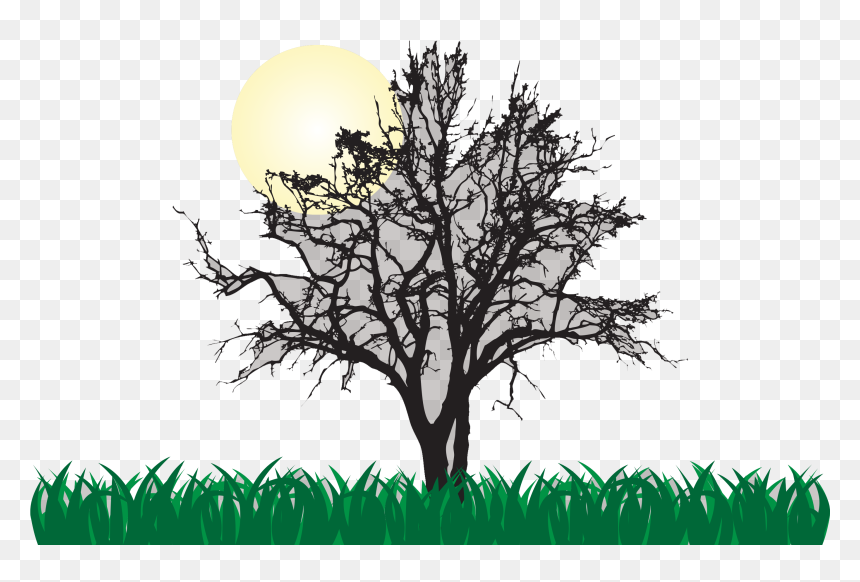 Tree Euclidean Vector Illustration - Cool, HD Png Download - sunrise clipart png