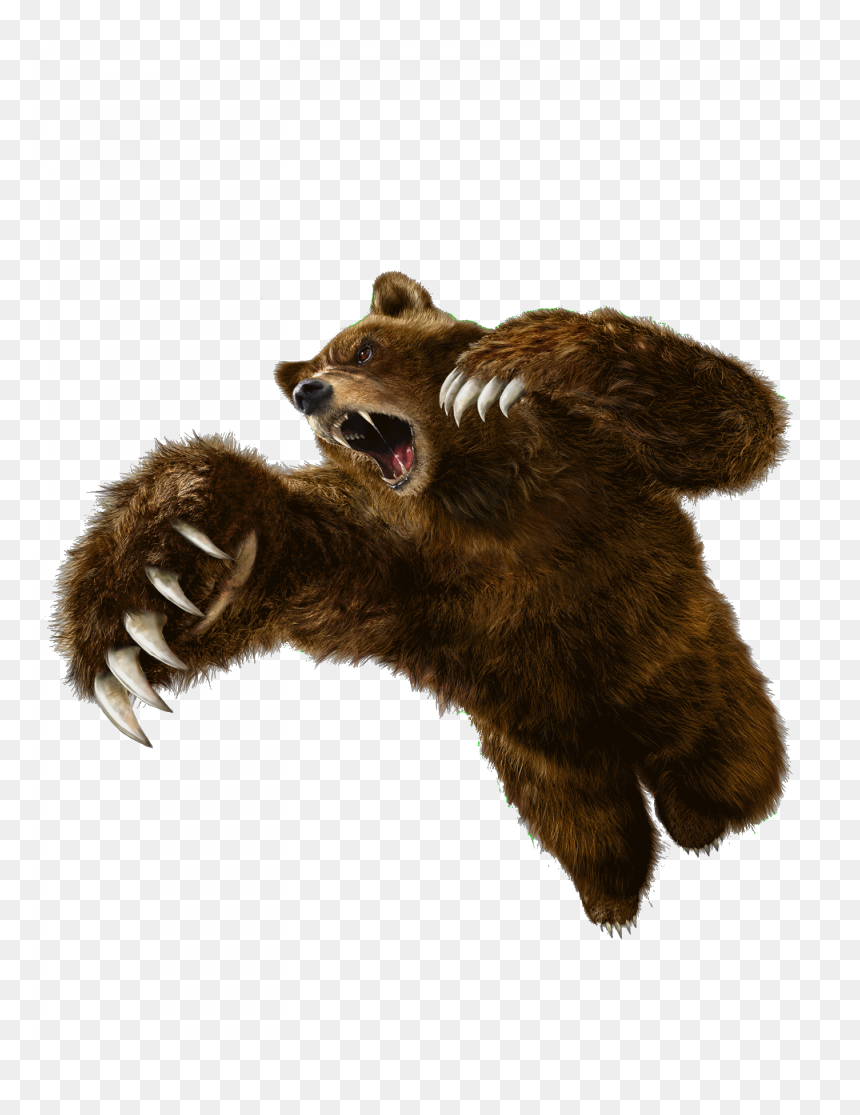 Transparent Animales Png - Tekken 7 Kuma Png, Png Download - animales png