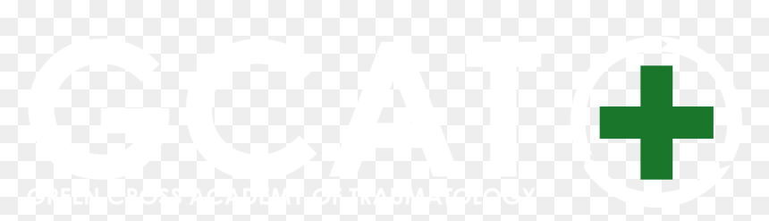 Green Cross Logo - Equipo Tigres 2015, HD Png Download - green cross png