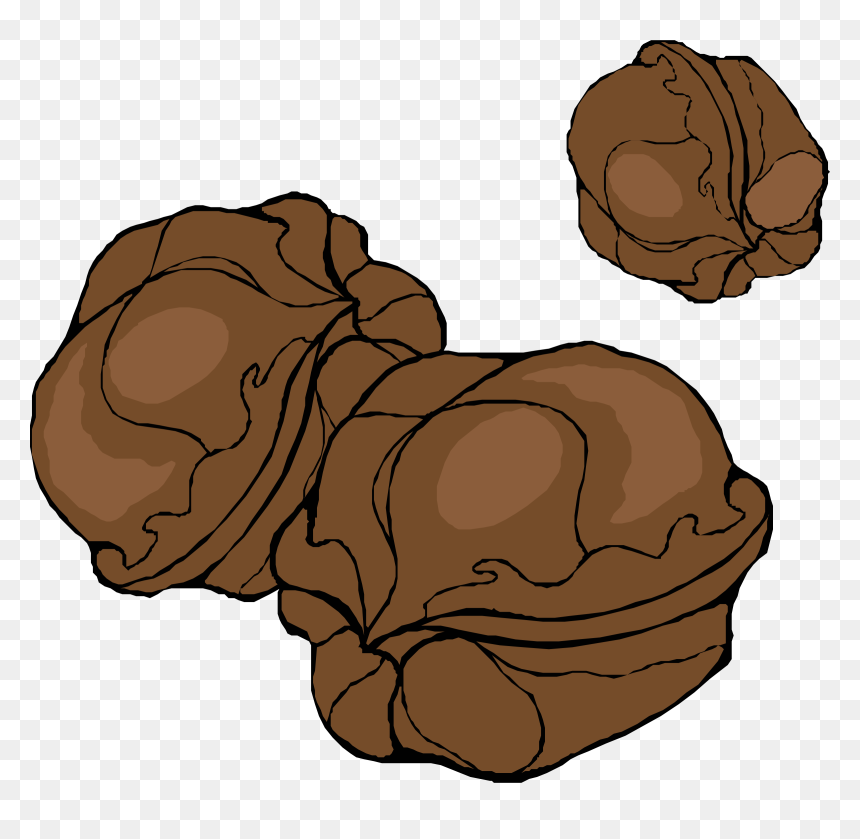 Walnuts Clip Arts - Walnuts Cartoon Png, Transparent Png - walnuts png
