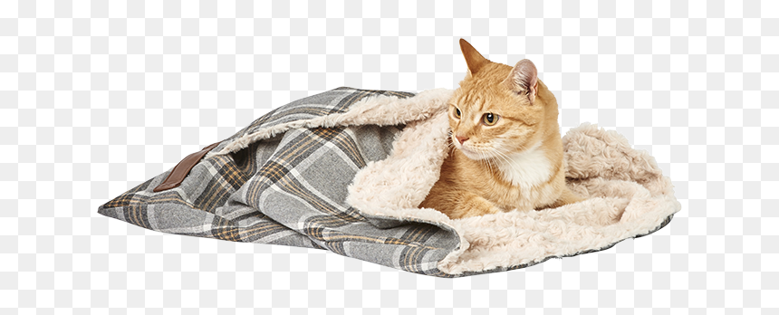 Tabby Cat, HD Png Download - sleeping cat png