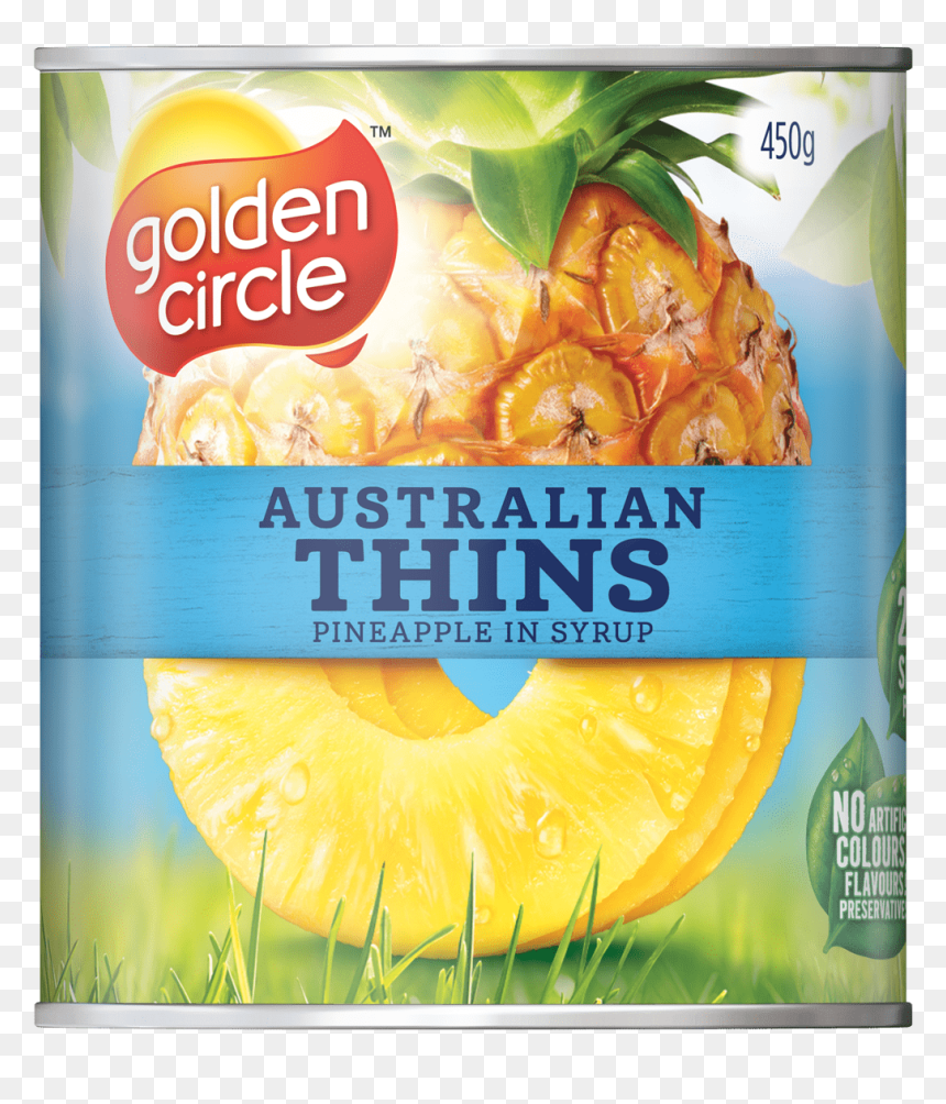 Thins In Syrup 450gm - Golden Circle Pineapple Pieces, HD Png Download - golden circle png