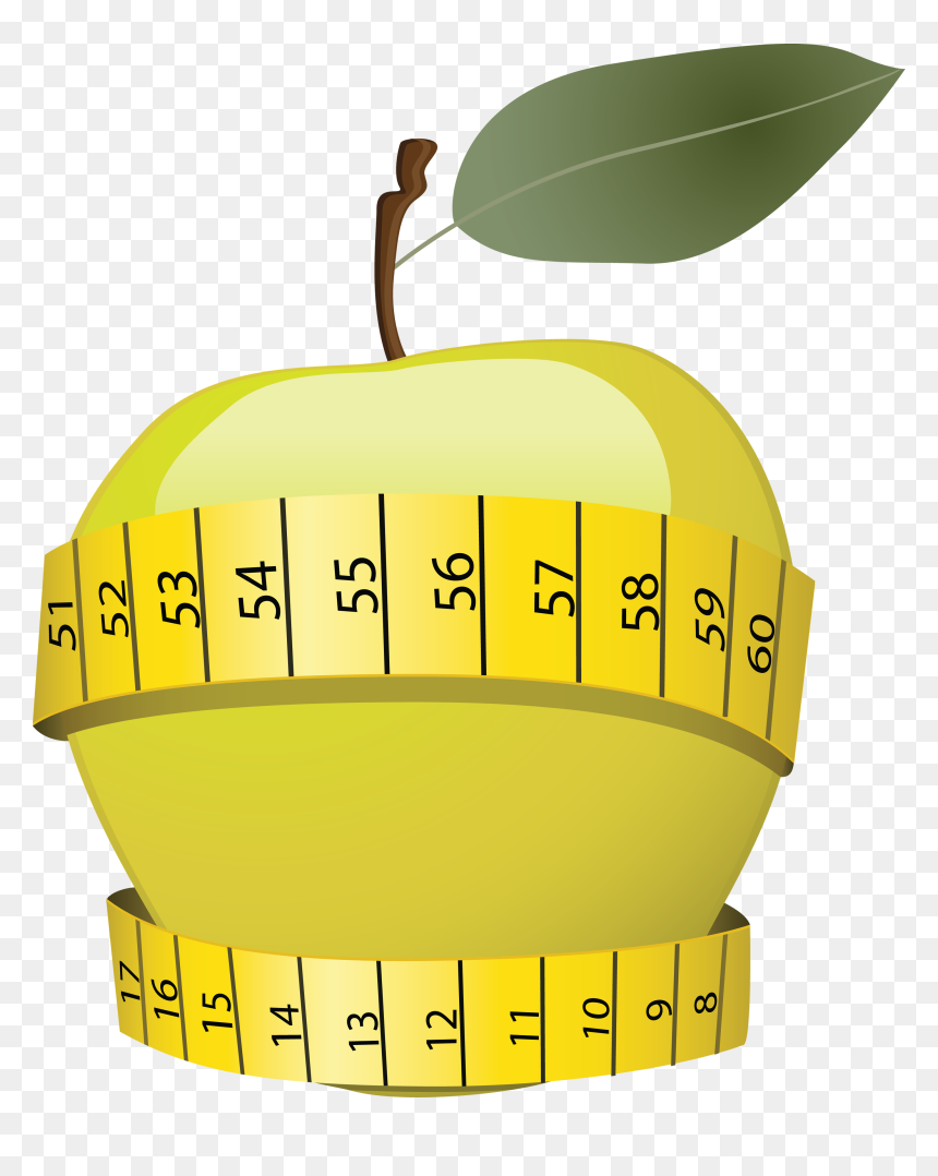 Vector Slimming Logo, HD Png Download - apple cartoon png