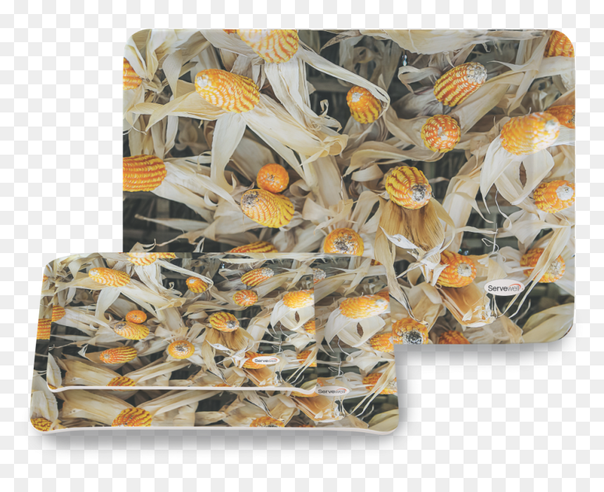 3 Pc Stylo Tray Set - Shell, HD Png Download - corn field png