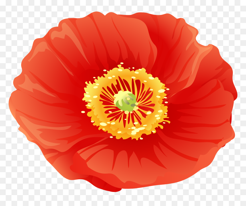 Red Poppy Flower Clip Art, HD Png Download - poppies png
