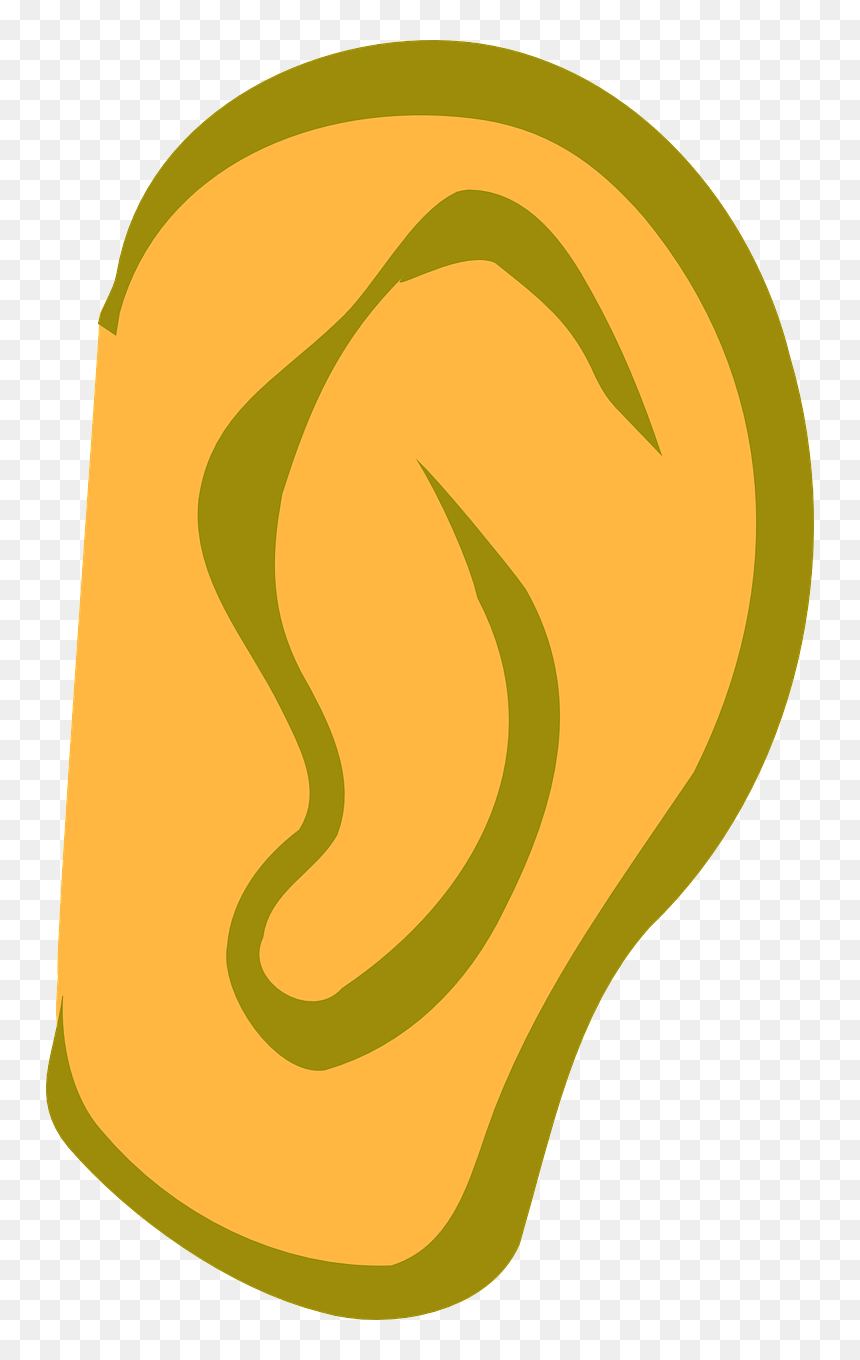 Ear Clip Art, HD Png Download - hear png