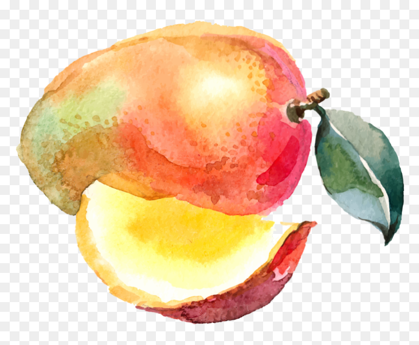 Watercolor Fruit And Vegetables Png, Transparent Png - desert bush png
