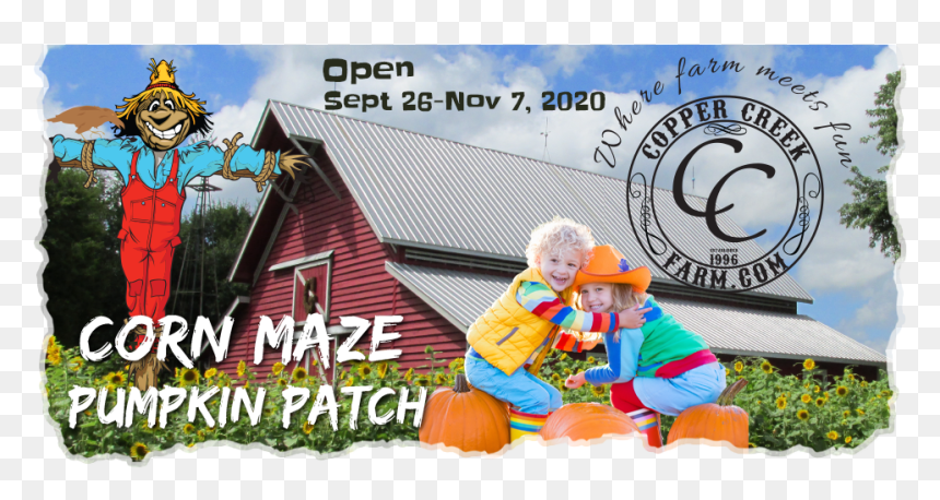 Copper Creek Farm Wizard Of Oz Corn Maze - Cartoon, HD Png Download - corn field png