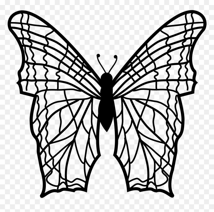 Butterfly With Complex Thin Lines Pattern Wings From - Mariposa En Lineas, HD Png Download - thin line png