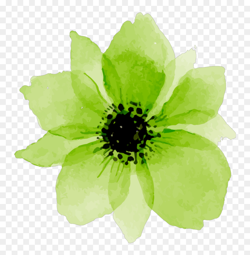 Watercolor Pink Flower Png , Png Download - Flower Watercolor Paintings, Transparent Png - green flower png