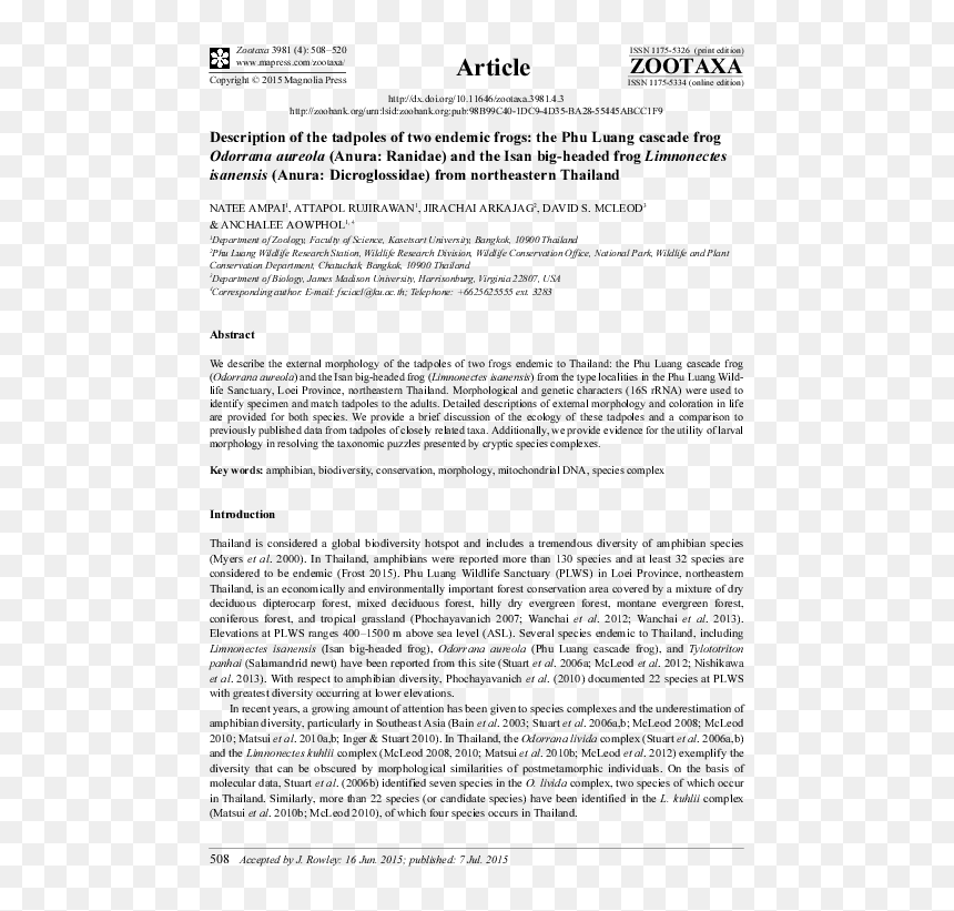 Thin Film, HD Png Download - aureola png