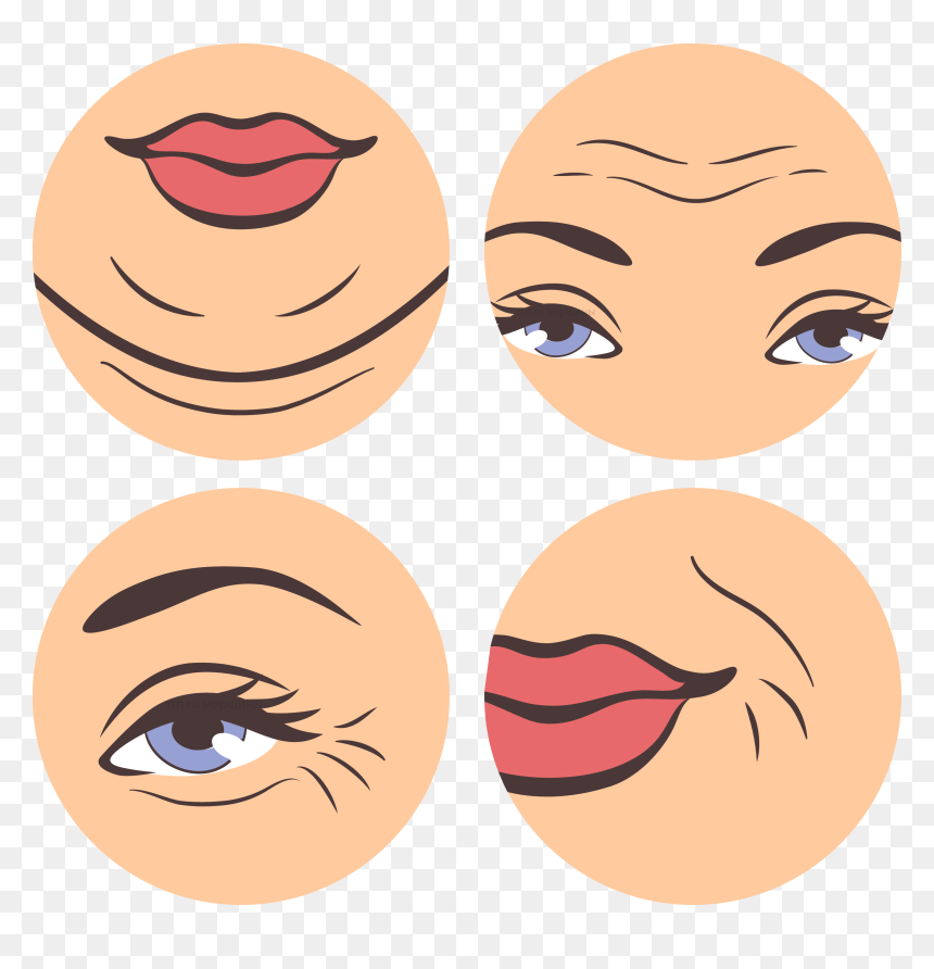 Wrinkle Face Botulinum - Wrinkles Face Illustration, HD Png Download - wrinkles png