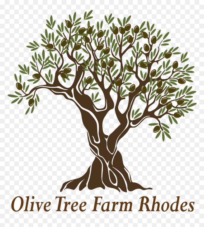 Olive Tree Farm - Olive, HD Png Download - olive tree png