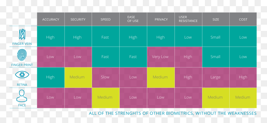 Graphic Design , Png Download - Biometrics Accuracy Vs Cost, Transparent Png - vein png