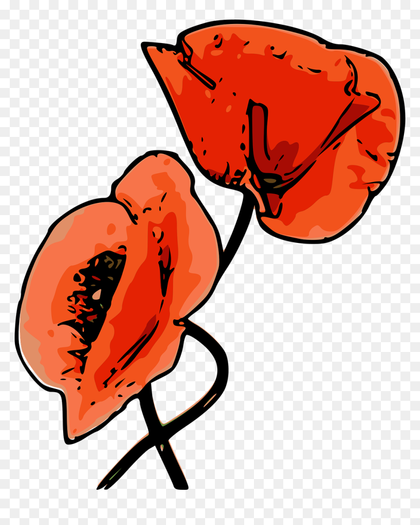 Clip Art, HD Png Download - poppies png
