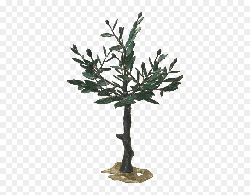 Bronze Olive Tree - Gambel Oak, HD Png Download - olive tree png