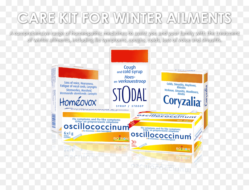 Care Kit For Winter Ailments - Graphic Design, HD Png Download - lebron face png