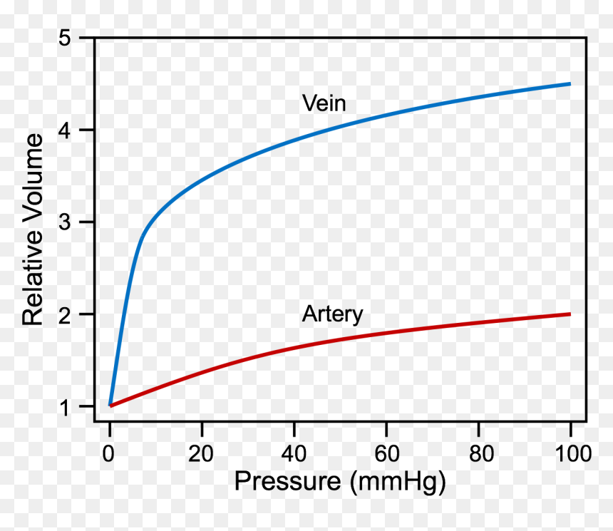 Venous Compliance, HD Png Download - vein png
