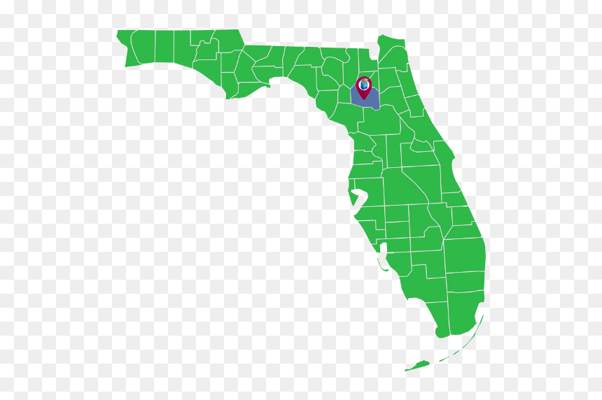 Florida Primary Results 2020, HD Png Download - coupon border png