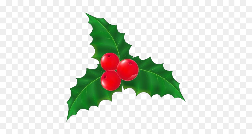 Mistletoe Transparent Png - Portable Network Graphics, Png Download - holly leaf png
