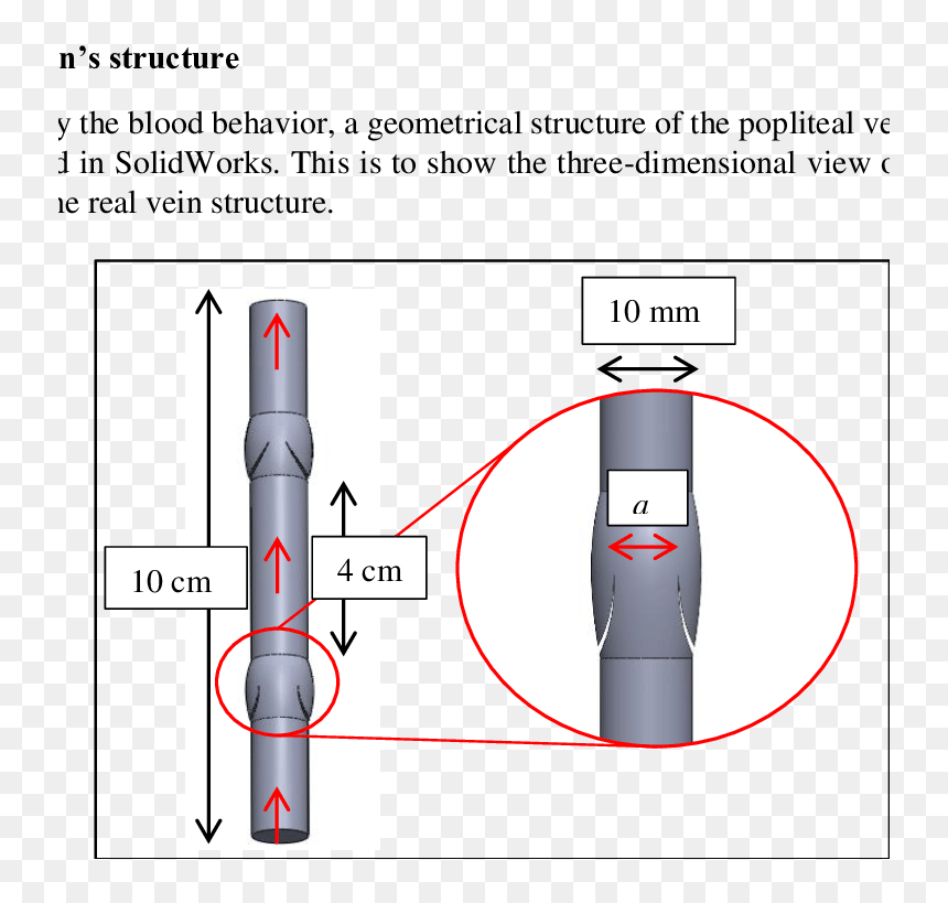 Diagram, HD Png Download - vein png