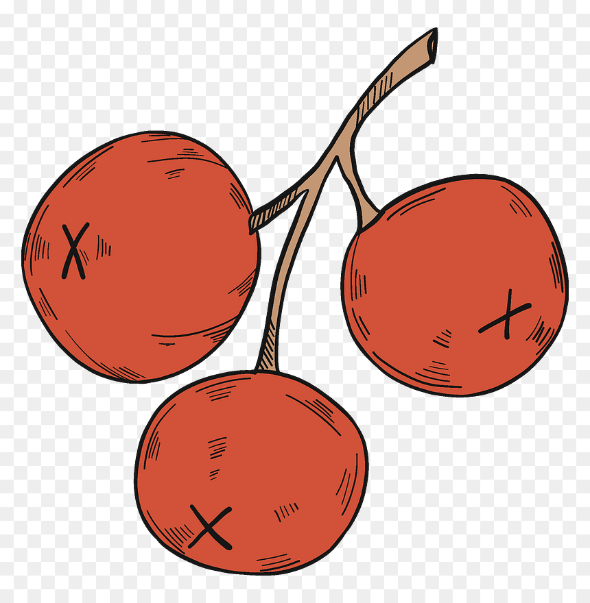 Three Cranberries Clipart, HD Png Download - cranberries png