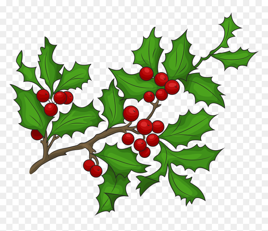 Holly Branch Clipart, HD Png Download - holly leaf png