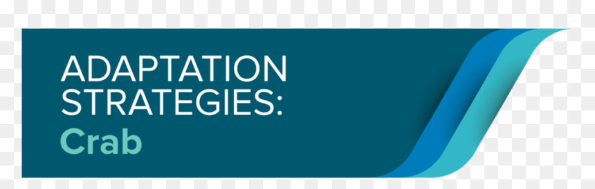 Bar - Conservative Judaism, HD Png Download - blue bar png