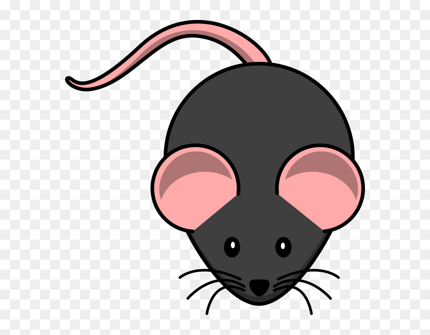 Transparent Background Rat Clipart, HD Png Download - mice png