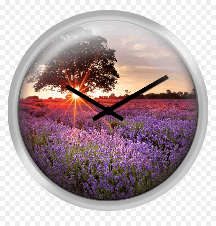 Lavender Field - Tröste Dich, HD Png Download - purple lens flare png