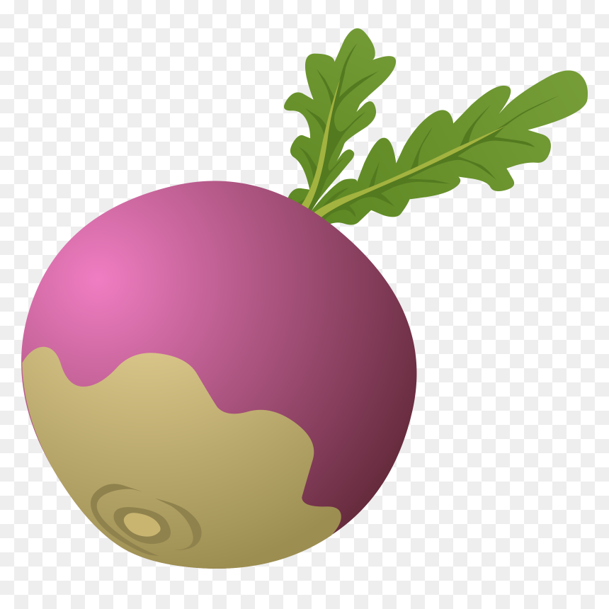 Food Turnip Clip Arts - Turnip Clip Art, HD Png Download - turnip png