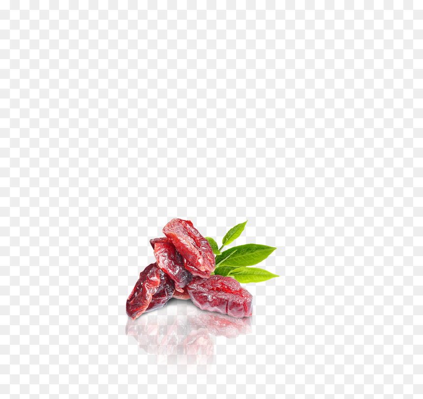 Rosa Glauca, HD Png Download - cranberries png