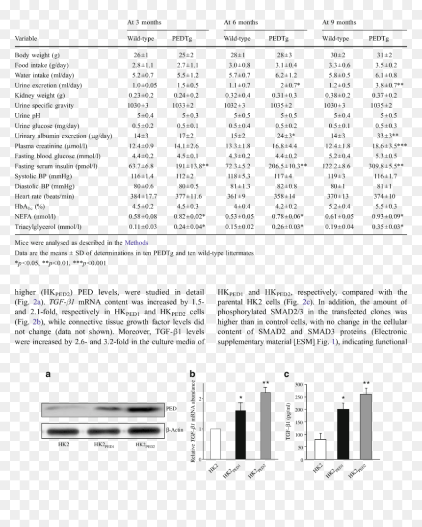 Document, HD Png Download - mice png
