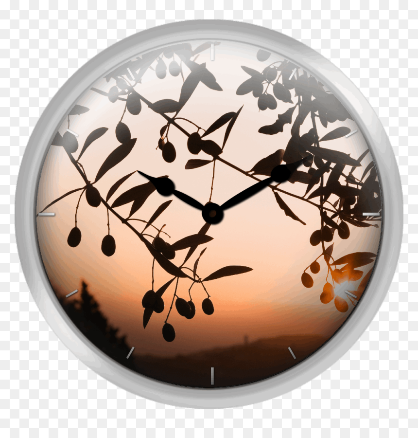 Italy Tuscany Olive Tree At Sunrise - Circle, HD Png Download - olive tree png