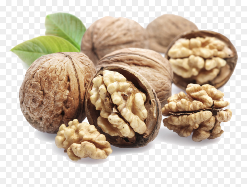 Transparent Walnut Png - Walnuts Meaning In Hindi, Png Download - walnuts png