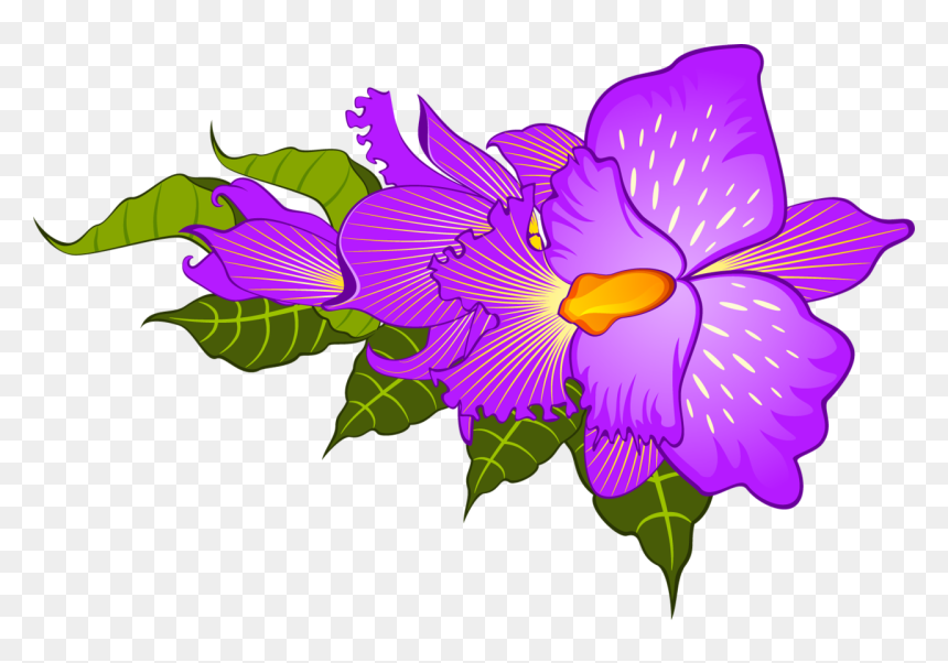 ภาพ วาด ดอก ไอ ริ ส, HD Png Download - iris flower png