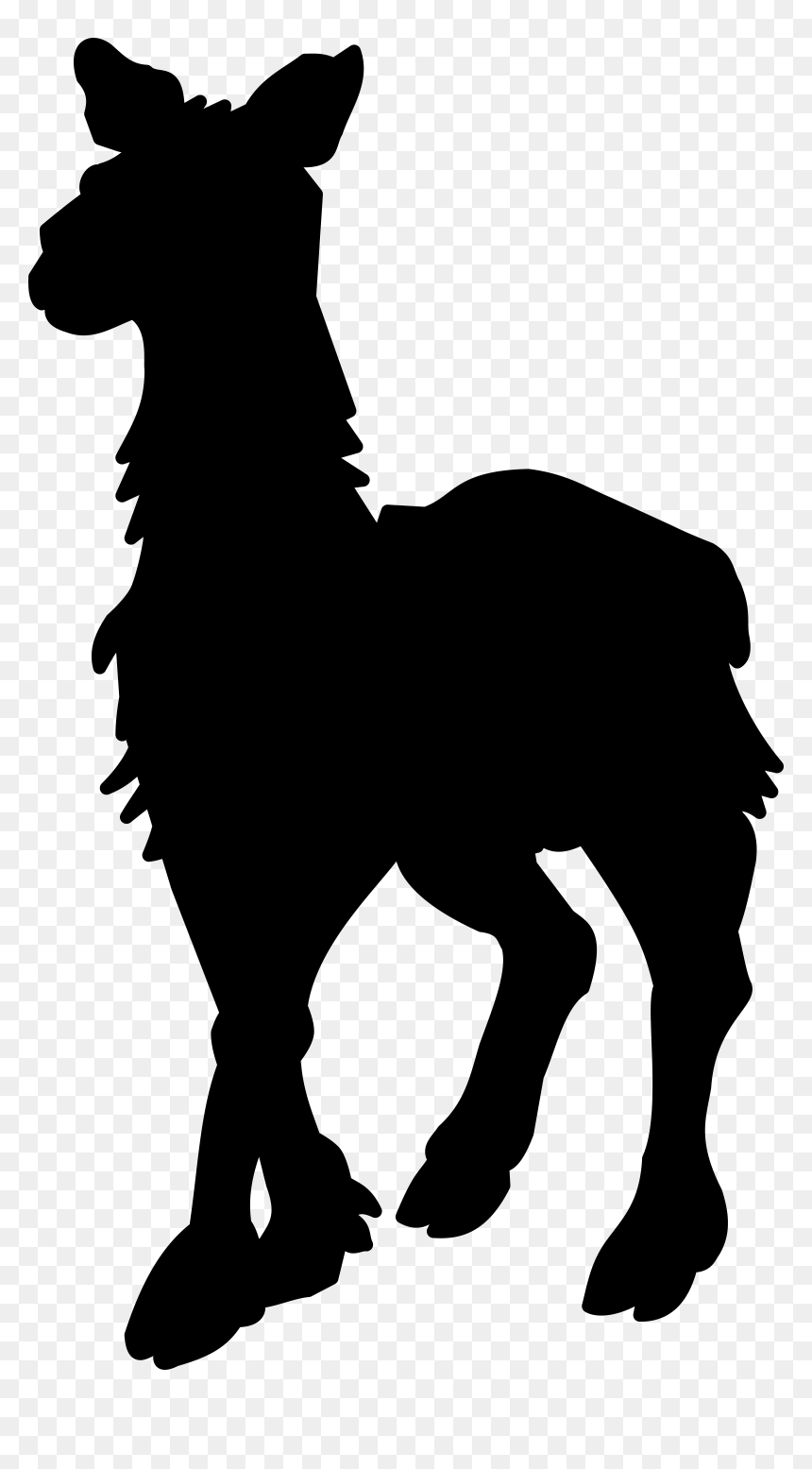 Mule Foal Stallion Mustang Donkey - Silhouette, HD Png Download - mule png
