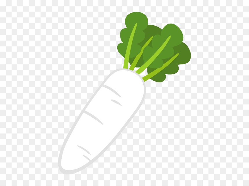 Daikon, HD Png Download - turnip png